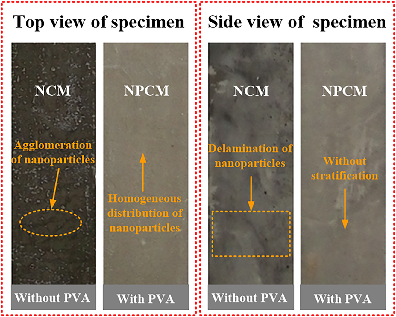 Figure 7: 
Representative macroscopic morphology of NCM and NPCM samples.
