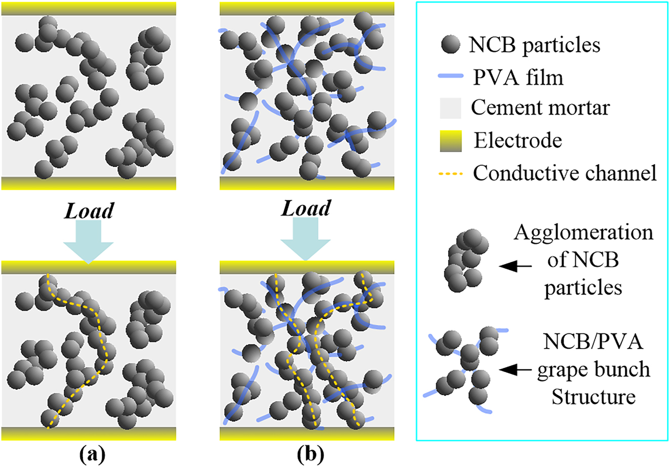 Figure 10: 
Schematic of the construction process of conducting pathways inside NCM (a) and NPCM (b) under external force.
