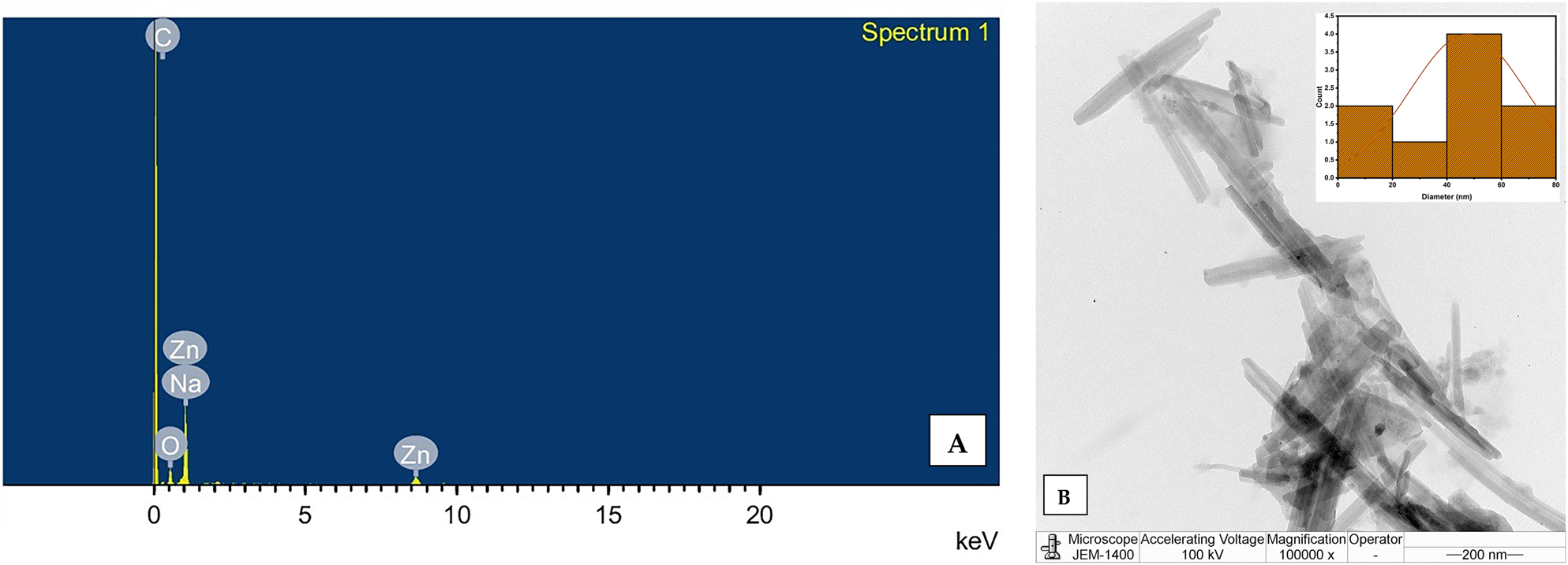 Figure 5: 
Elemental composition and structural morphology of ZnO NRs: (A) EDS spectrum confirming the elemental composition of ZnO NRs; (B) TEM micrographs with particle size distribution of ZnO NRs.

