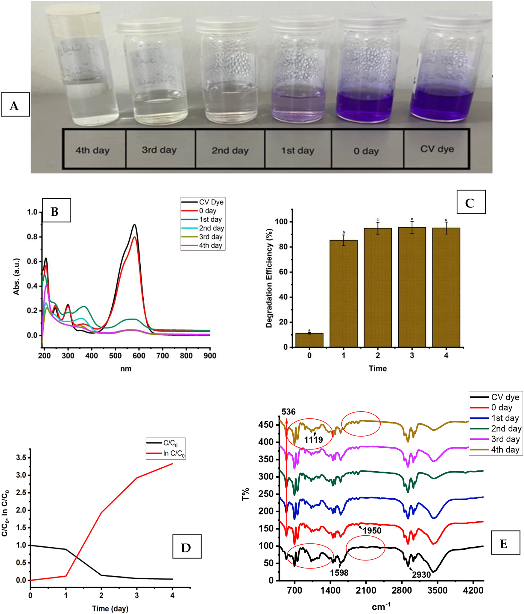 Figure 9: 
(A) The photodegradation of CV dye over different time durations. (B) The UV–vis spectra of dye photodegradation induced by solar radiation, obtained for CV dye under optimal conditions. (C) The effectiveness of ZnO NRs in degrading CV dye, with different letters (a, b, and c) indicating significant differences at p > 0.05. (D) the kinetic plot, including the rate constant and half-life of dye degradation, for the ZnO NR-catalyzed photocatalytic degradation of CV dye. (E) FTIR analysis results of CV dye samples treated with ZnO NRs over varying time durations.
