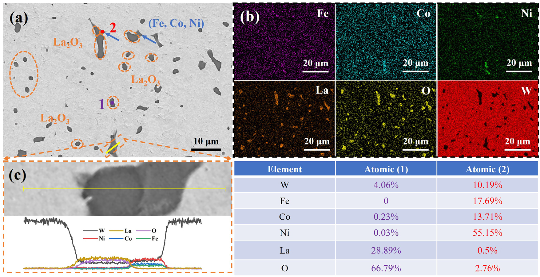 Figure 5: 
(a) SEM image of S-B, (b) element distribution, and (c) line scan.
