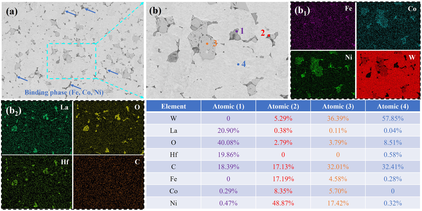 Figure 7: 
(a, b) SEM image of S-D, (b1, b2) element distribution.

