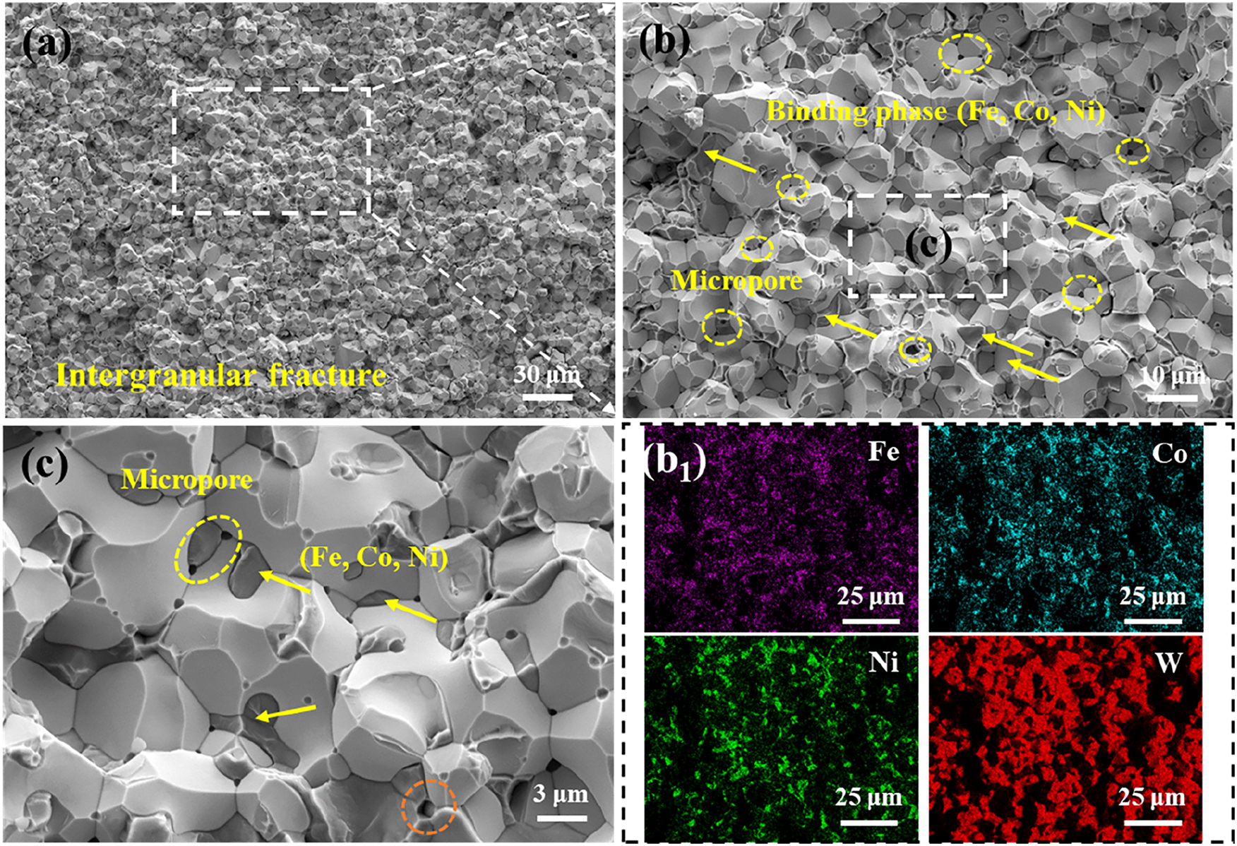 Figure 11: 
(a, b, c) Fracture surface morphology of S-A, (b1) element distribution in b.
