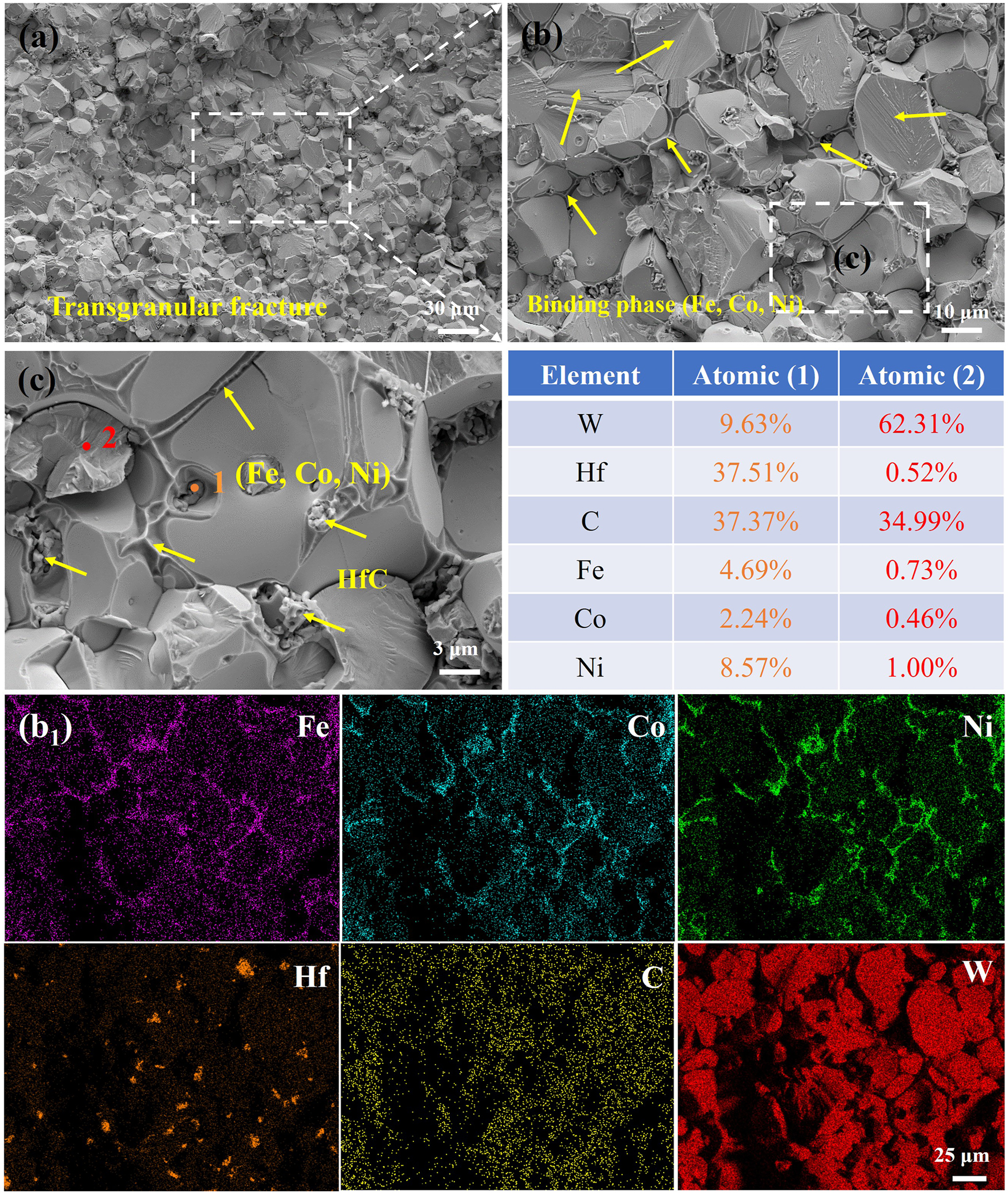 Figure 13: 
(a, b, c) Fracture surface morphology of S-C, (b1) element distribution in b.
