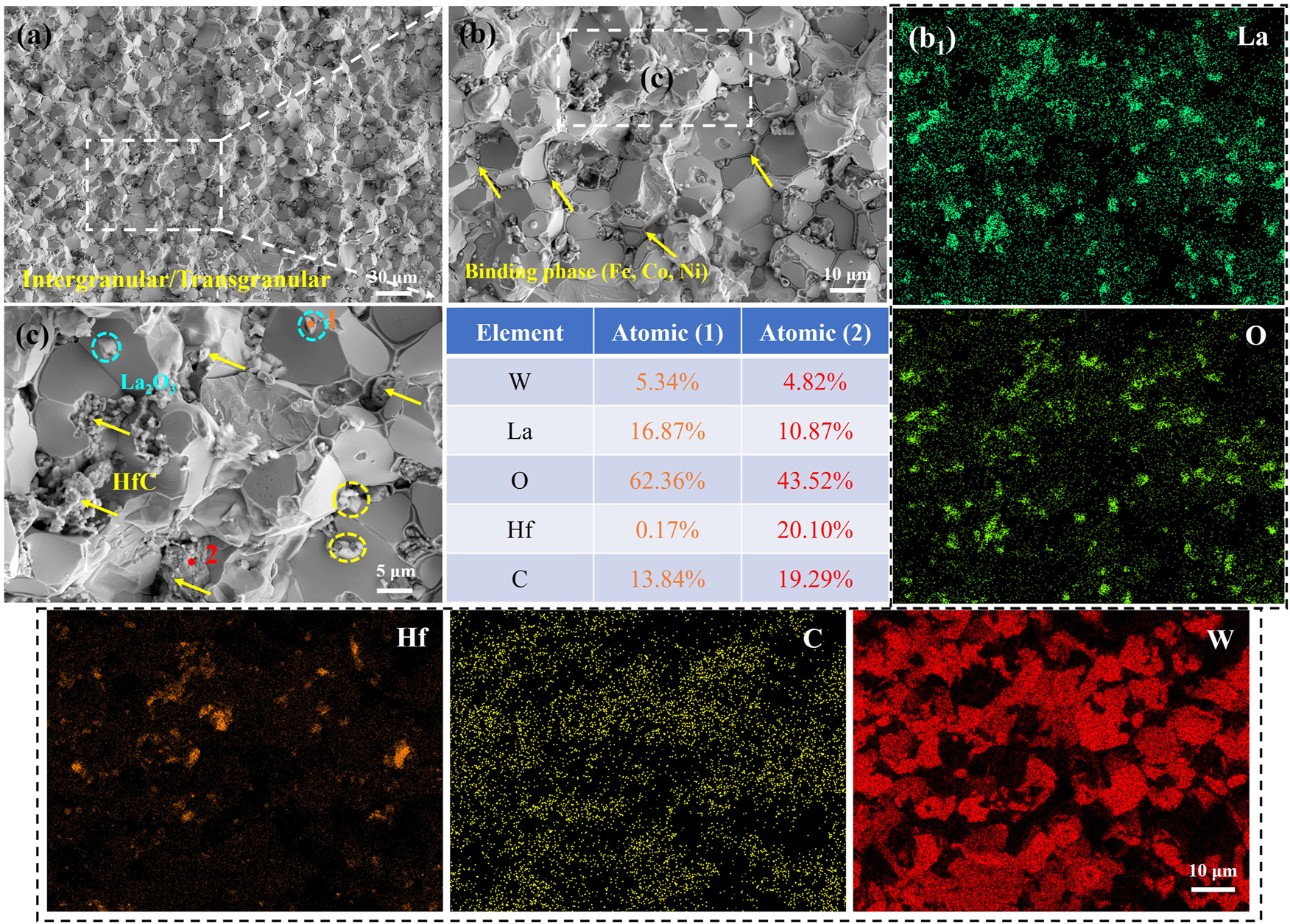 Figure 14: 
(a, b, c) Fracture surface morphology of S-D, (b1) element distribution in b.

