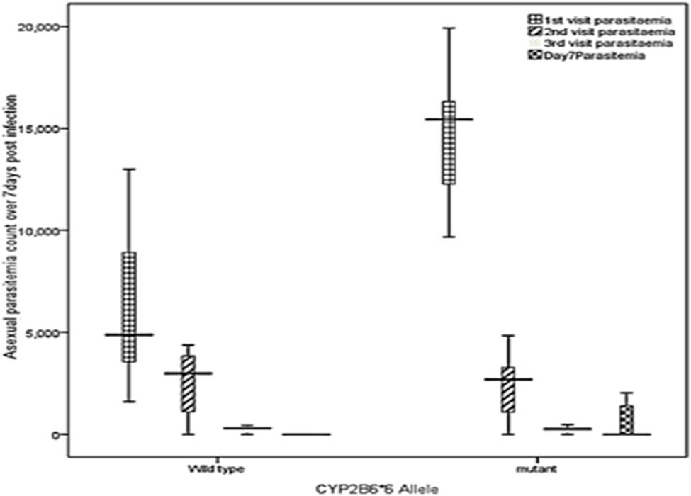 Figure 2 
               The geometric mean asexual parasitemia density between the CYP2B6*6 MTA and WTA over the course of day 1, 24, 48, 72 h, and 7 days post-ACT treatment regimen. Boxes represent 25–75th percentiles, solid bar within boxes represents median values, within the bars represent non-outlier maximum and minimum. There were no outliers. (Alpha levels for all mean parasitemia of Pf malaria-positives categories were significantly different at p < 0.05.).
            