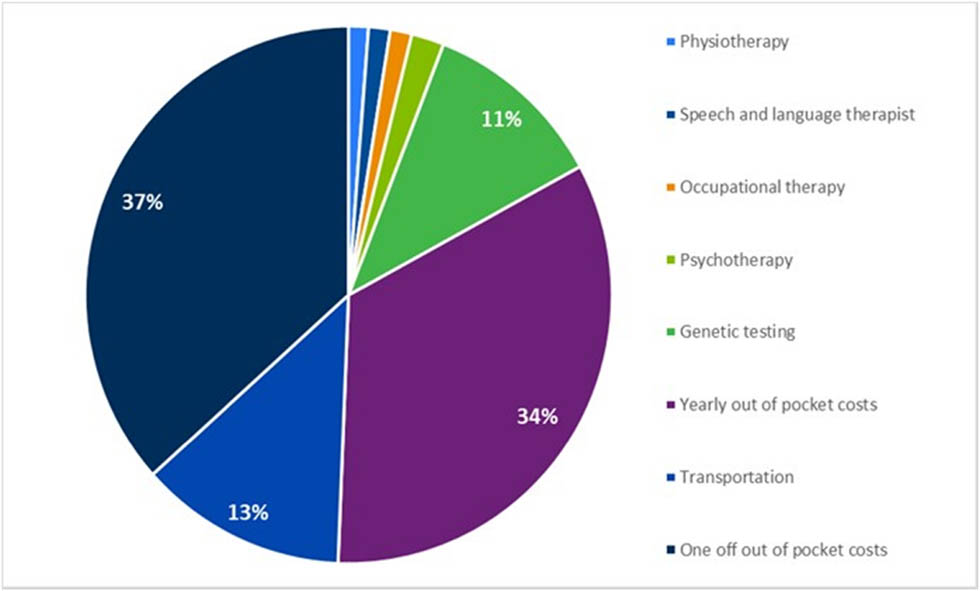 Figure 2
Breakdown of out-of-pocket payments.