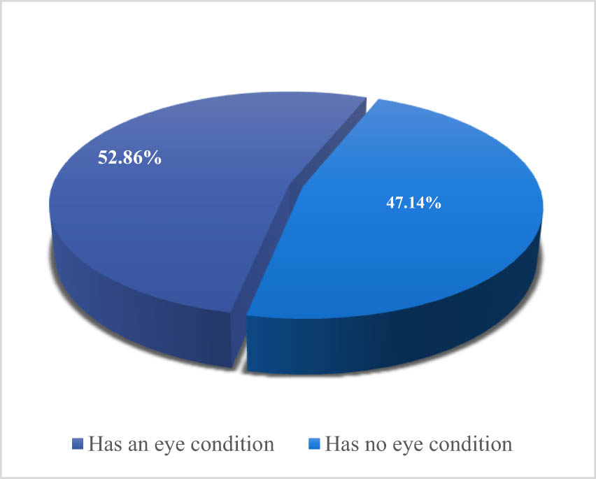 Figure 7 
                  Vision-related conditions.
               