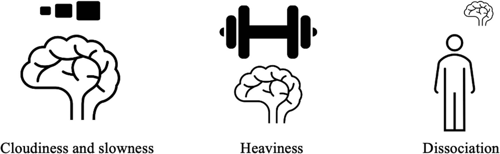 Figure 2 
                     Illustration of attributes of brain fog. This is a visual representation of the descriptions of brain fog identified in the data. Source: Created by authors.
                  