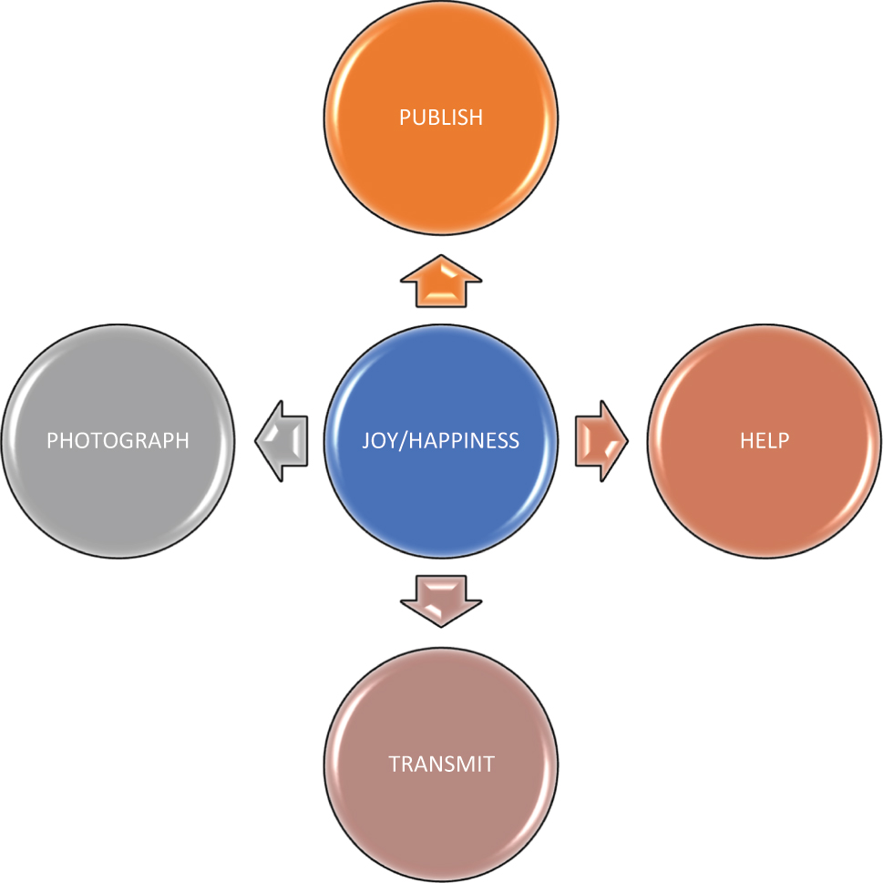 Figure 2: 
Practices connected with joy and happinness.
