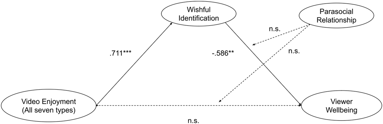 Figure 2: 
Hayes PROCESS Modeling results for all video types.
