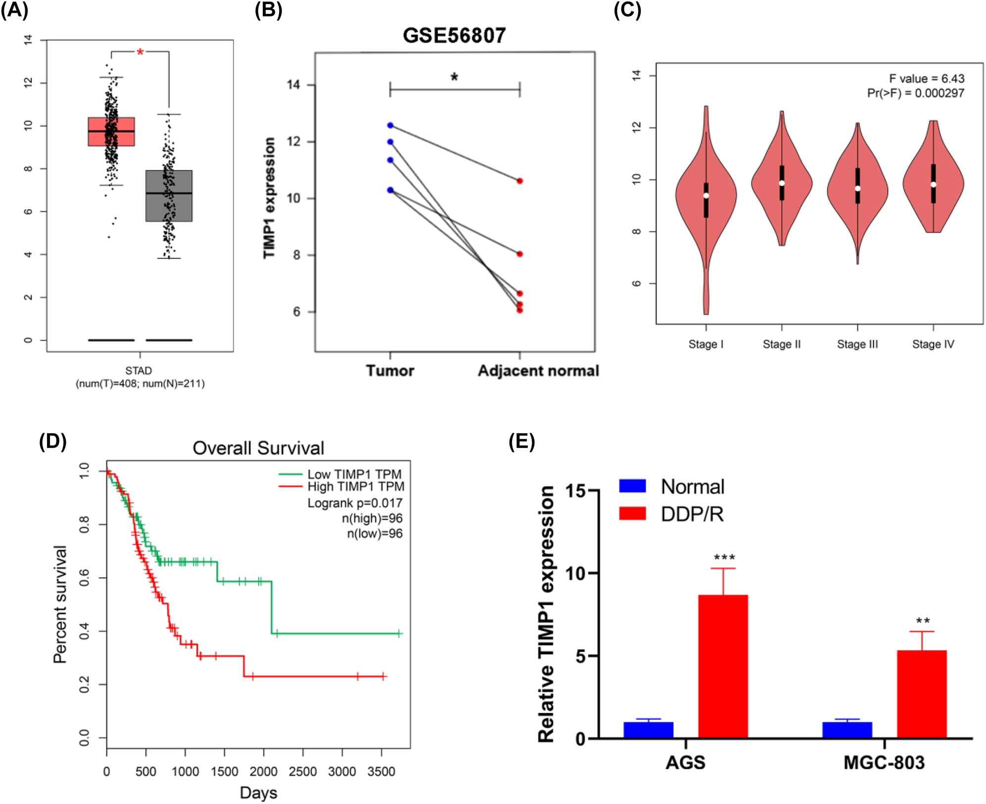 Figure 1: 
TIMP1 is highly expressed and closely related to the tumor stage, poor survival, and DDP chemoresistance in GC. (A) The expression analysis for TIMP1 between GC (n=408) and normal samples (n=211) based on the GEPIA database. (B) Expression analysis for TIMP1 on five pairs of GC and adjacent normal tissue samples from the GSE56807 dataset. (C) Expression analysis for TIMP1 on different stages of GC based on the GEPIA database. (D) By using GEPIA data, survival analysis for patients with GC (n=192) was performed based on TIMP1 expression. (E) Relative expression levels of TIMP1 in two GC cell lines (normal) and their DDP-resistant ones (DDP/R) were detected using RT-PCR. 
*
p<0.05, 
**
p<0.01, and 
***
p<0.001 vs. the normal group.
