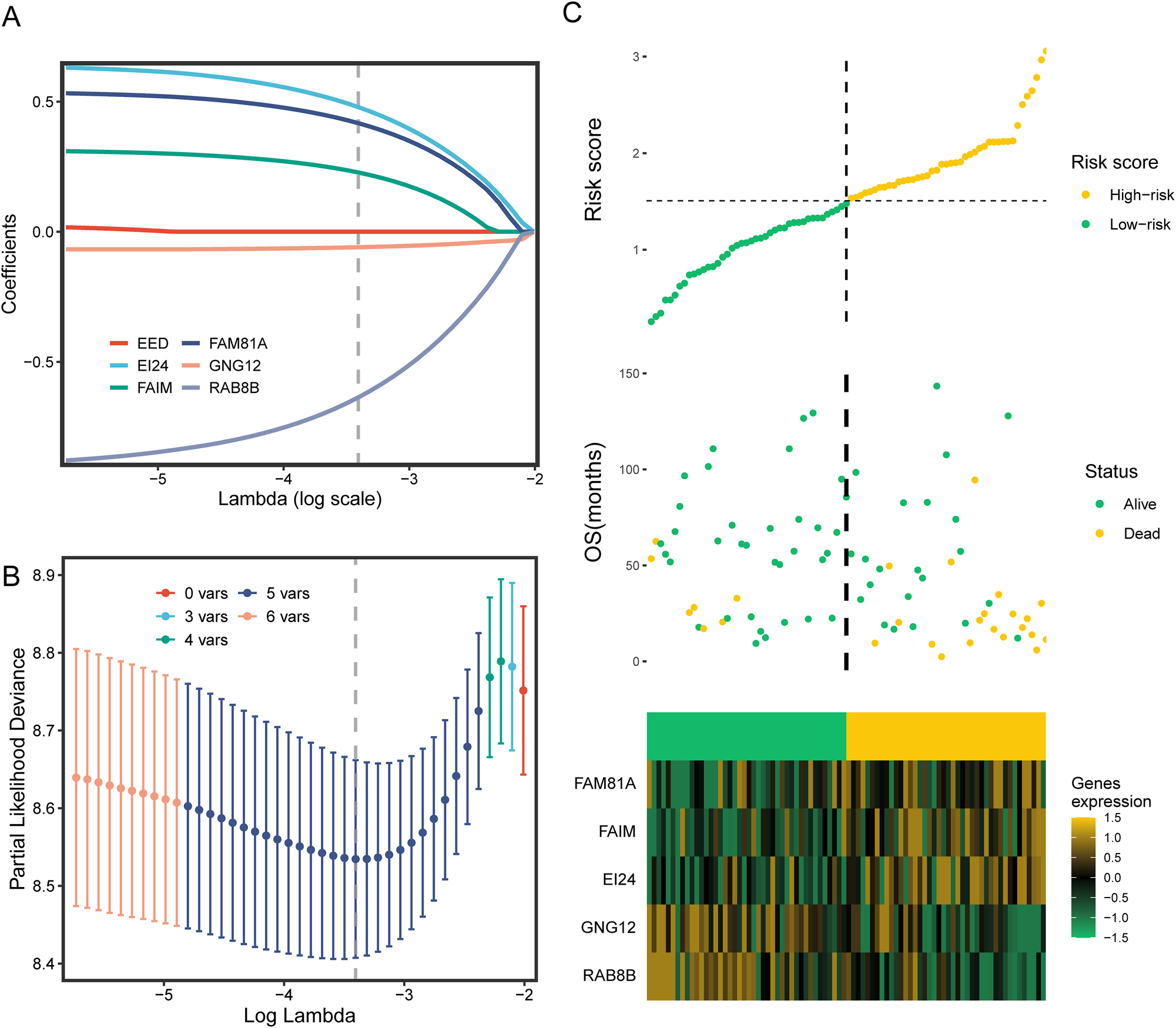 Figure 5: 
Developing the disulfidptosis-related (DSPR) prognostic signature. (A) The LASSO regression model, coupled with the cross-validation technique, was employed for gene screening; (B) the gene regression coefficient map within the LASSO model; (C) risk distribution diagram depicting the risk scores, alive status, and gene expression profiles for each patient within the TARGET-OS cohort.

