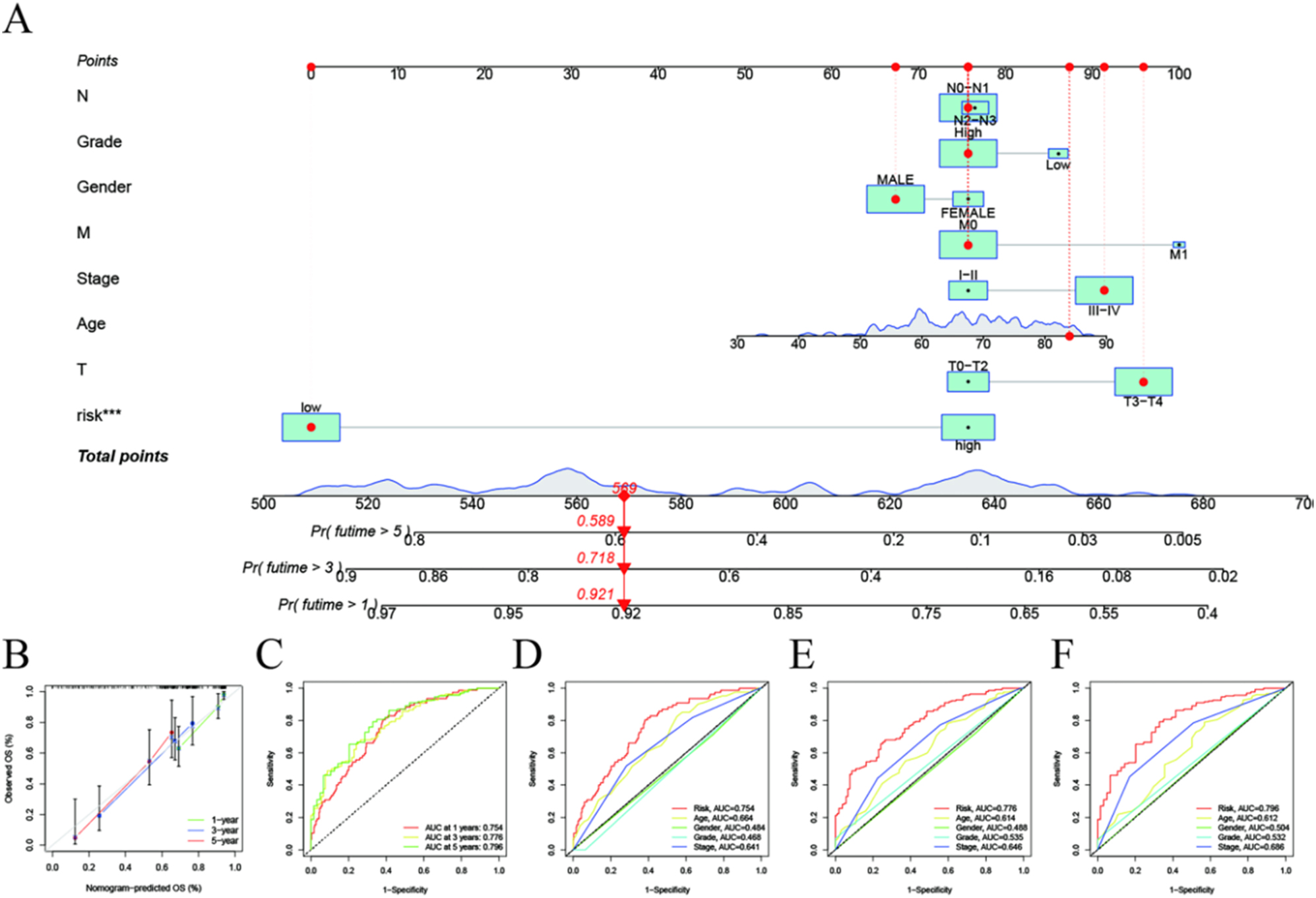 Figure 6: 
Evaluation of risk signal prediction efficiency. (A) Nomogram used to predict survival in patients with BLCA. (B) 1-, 3-, and 5-year survival nomogram calibration curves. (C) ROC analysis was used to assess the predictive value of prognostic features. The AUC for the risk score was used to predict overall survival at 1, 3, and 5 years and other clinical characteristics (D–F).
