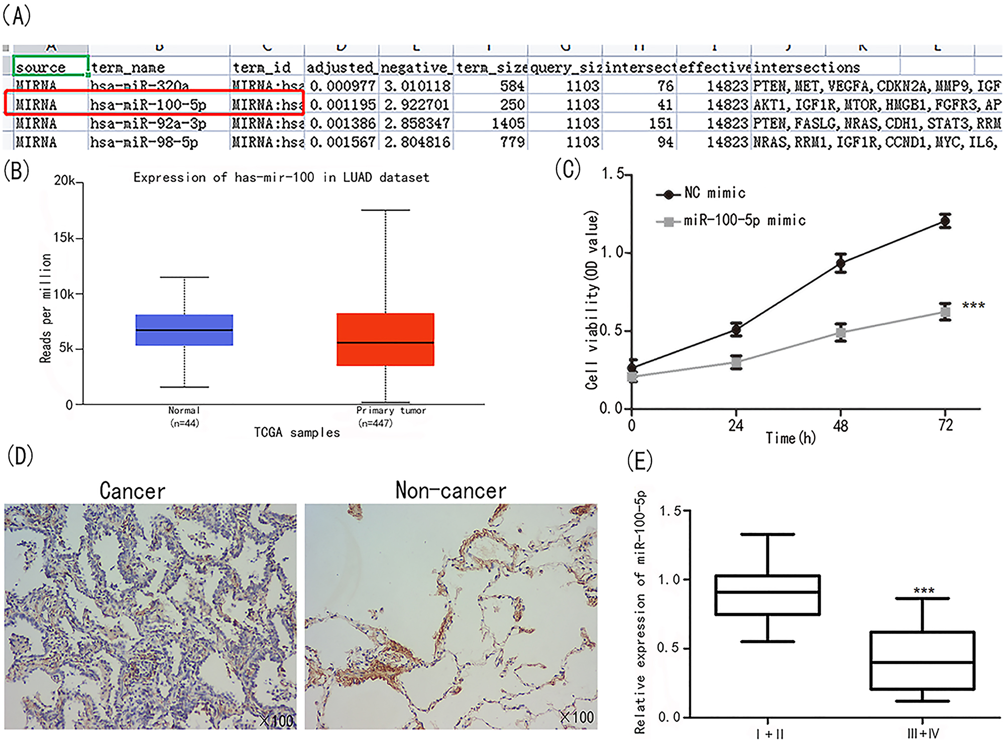 Figure 1: 
Identification of miR-100-5p. (A) Genecard and G: profiler analysis showed miR-100-5p was related to lung cancer progression. (B) miR-100-5p was under expressed in NSCLC tissues. (C) A549 cell viability was significantly down regulated in the group of miR-100-5p. (D) ISH assay on evaluating miR-100-5 expression in cancer and non-cancer tissues. (E) MiR-100-5 expression was examined in patients at I+II and III+IV stages ***p<0.001 vs. I+II.
