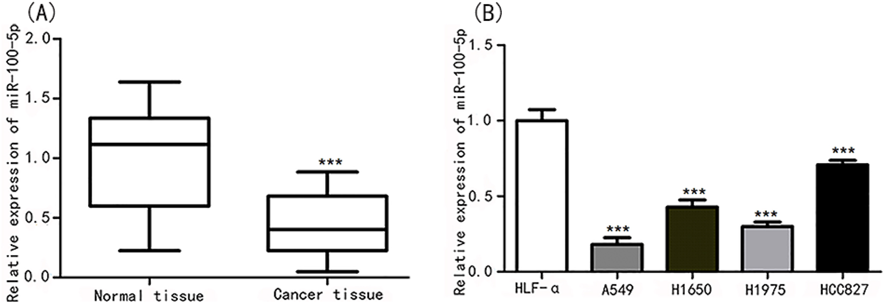Figure 2: 
MiR-100-5p was descended in lung cancer tissues and cell lines. (A) MiR-100-5p expression was evaluated in lung cancer tissues and normal tissues. ***p<0.001 vs. normal tissues. (B) MiR-100-5p expression was assessed in lung cancer cell lines of HLF-α, A549, H1650, H1975, and HCC827. ***p<0.001 vs. HLF-α.

