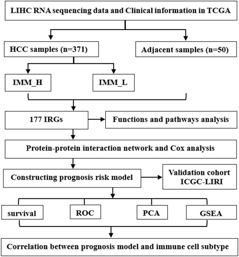 Figure 1: 
Workflow of the study.
