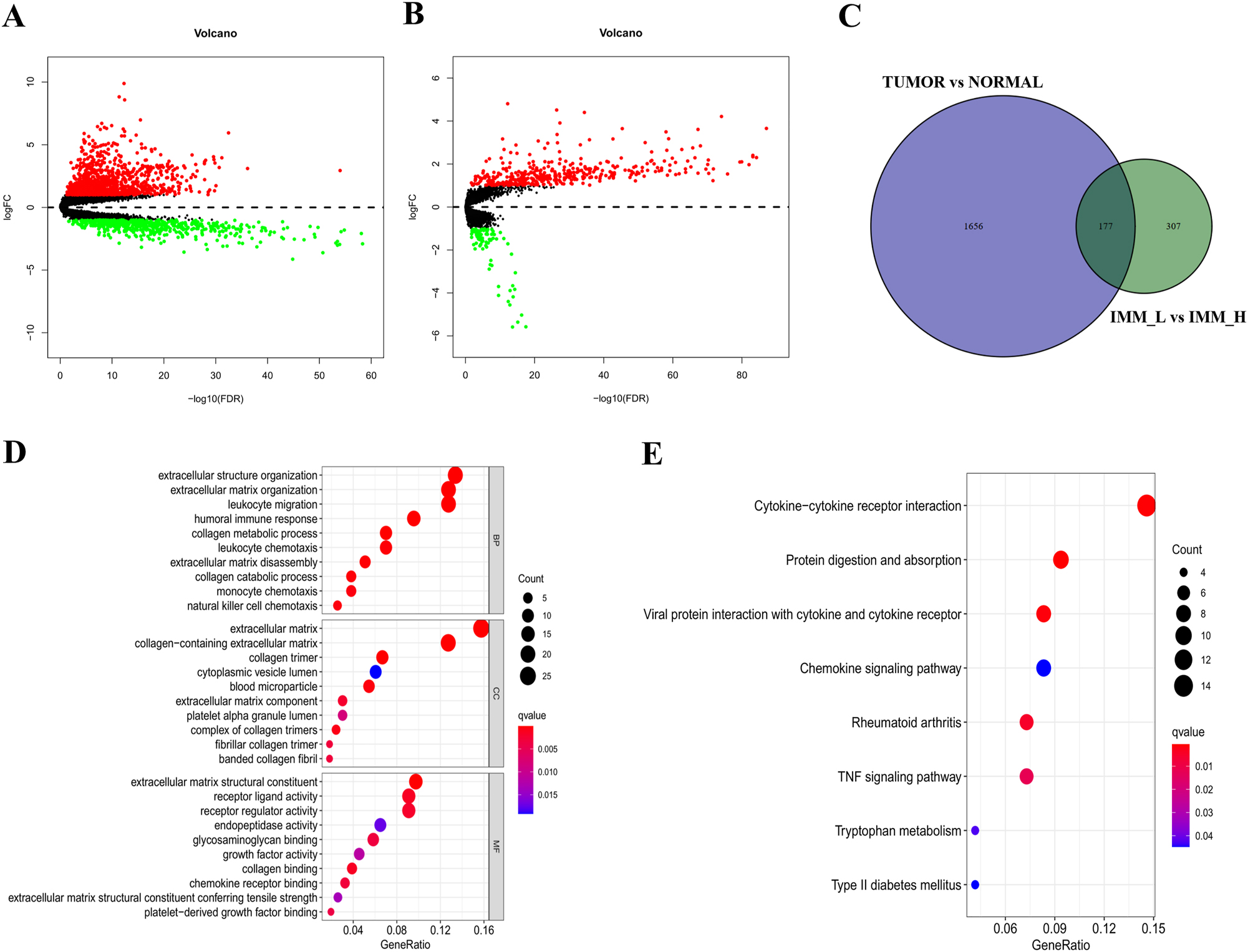 Figure 3: 
Analysis of IRGs. (A) Volcano plot indicating 1,218 upregulated and 615 downregulated DEGs between HCC and normal tissues. (B) Identification of 398 upregulated and 86 downregulated genes between IMM_H and IMM_L of HCC; red dots indicate upregulation and green dots downregulation (fold change>1, p=0.05). (C) 177 IRGs were identified by R software. (D and E) GO and KEGG enrichment of 177 IRGs, with p<0.05 used to show significant enrichment.

