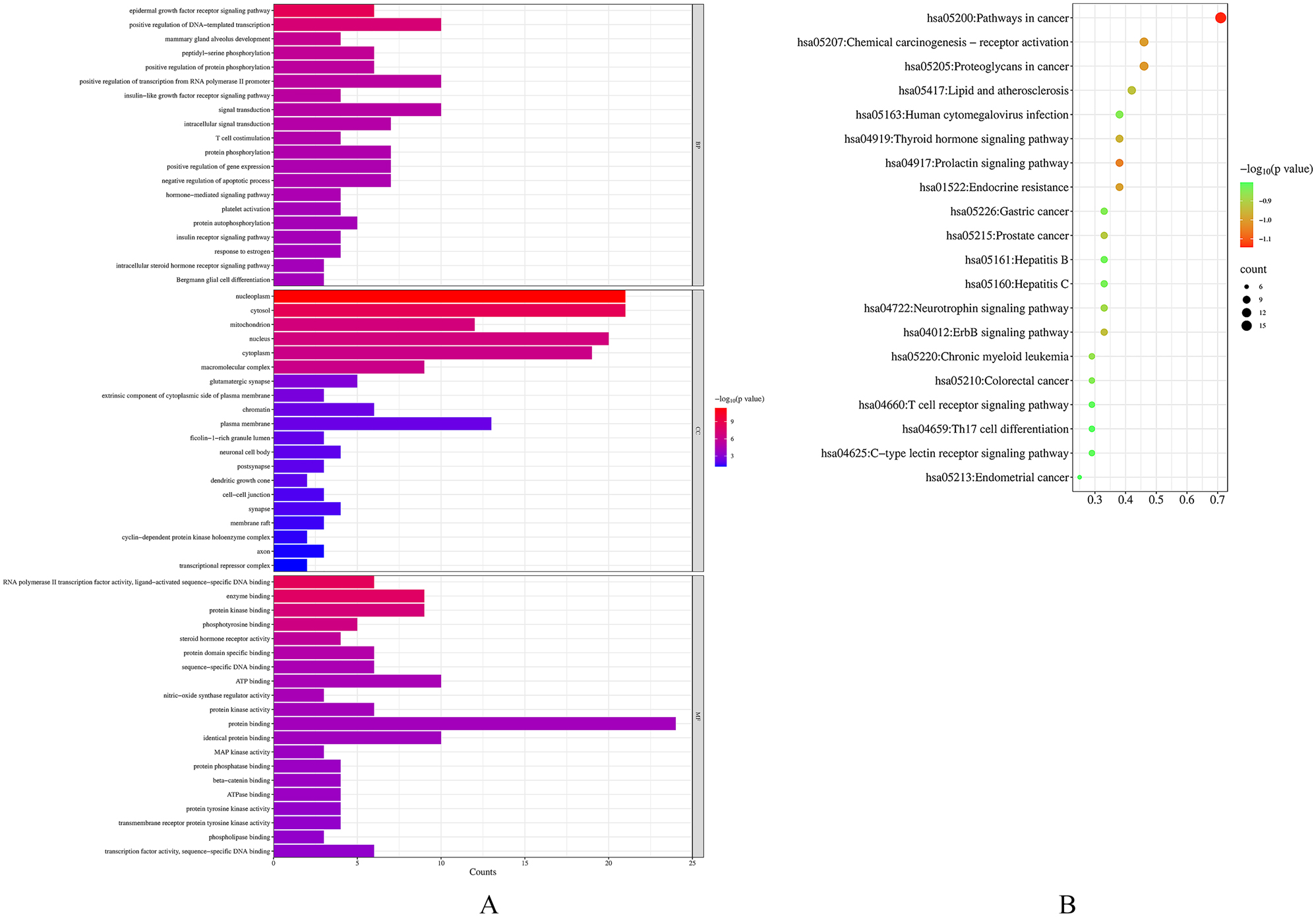Figure 5: 
Illustrate (A) GO enrichment analysis showing the top 10 biological process terms with p-values <0.01, with bar length representing gene count and color indicating p-value significance, and (B) KEGG pathway enrichment analysis identifying the top 20 significant pathways with p-values <0.01, with dot size representing gene count and color indicating p-value significance.
