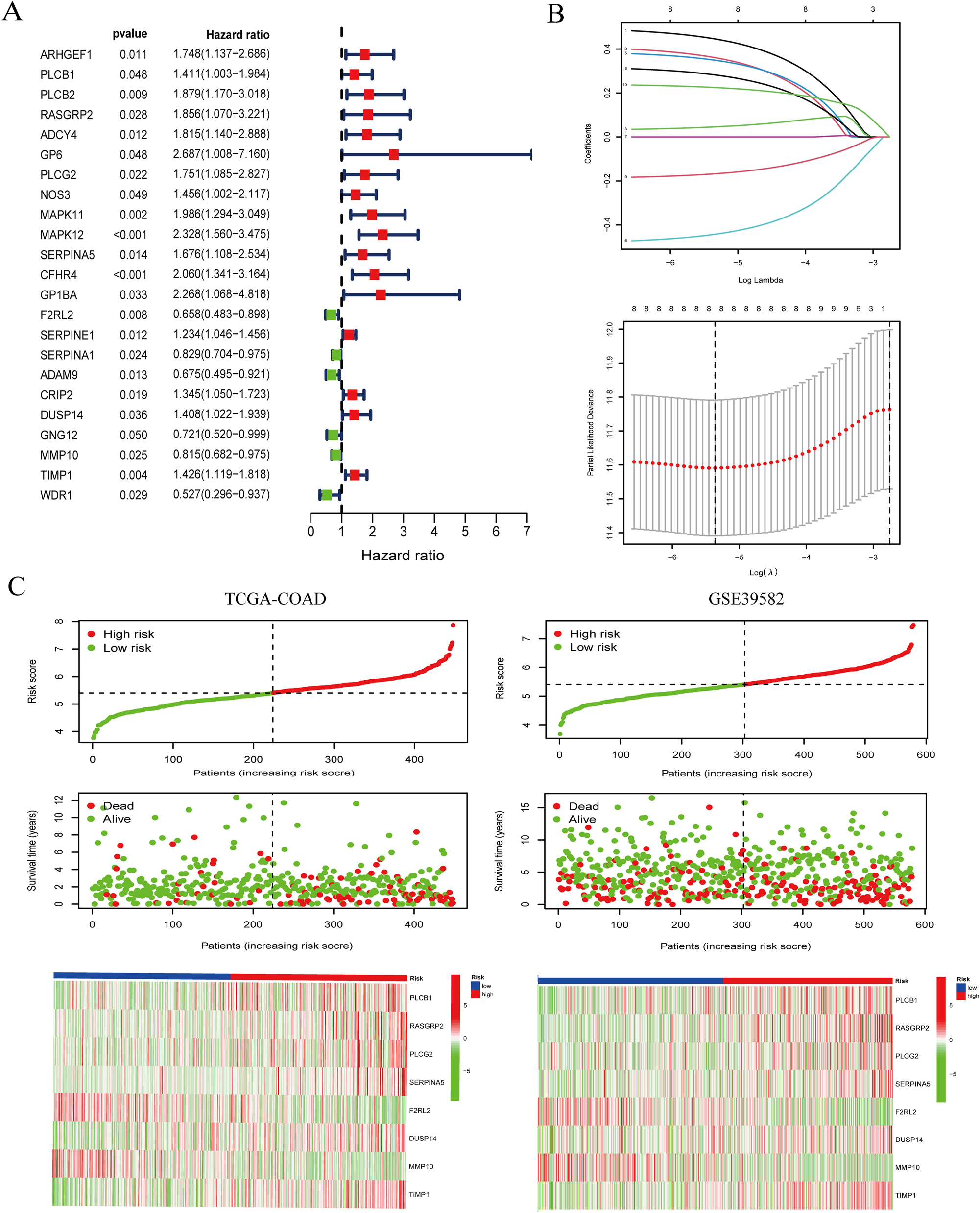 Figure 1: 
Construction of coagulation-related signatures for colon cancer prognosis prediction. (A) The forest plots of prognostic genes with p <0.05 were recognized by univariate Cox regression analysis. (B) The core genes were screened with LASSO Cox regression analysis. (C) The allocation of the risk score for every patient (top panel), survival situation of patients (middle panel), heatmaps for eight-gene signature between the high-risk group and low-risk group (bottom panel).
