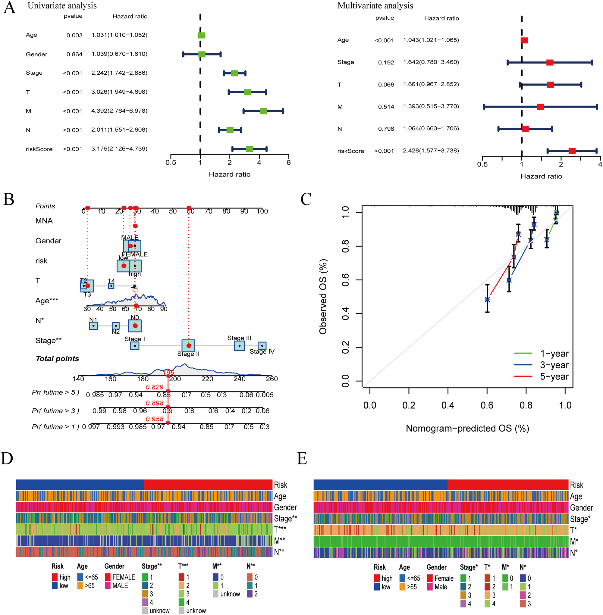 Figure 3: 
Construction of nomogram for colon cancer patients. (A) Univariate analysis and multivariate analysis including CRRS and clinical elements. (B) Nomogram integrating risk scores and clinical factors. (C) Calibration of the nomogram at 1-, 3- and 5-year survival rate in the training cohort. (D) Heat map of risk scores and clinical relevance in the TCGA-COAD set. (E) Heat map of risk scores and clinical relevance in the GSE39582 set (*p<0.05; **p<0.01; ***p<0.001).
