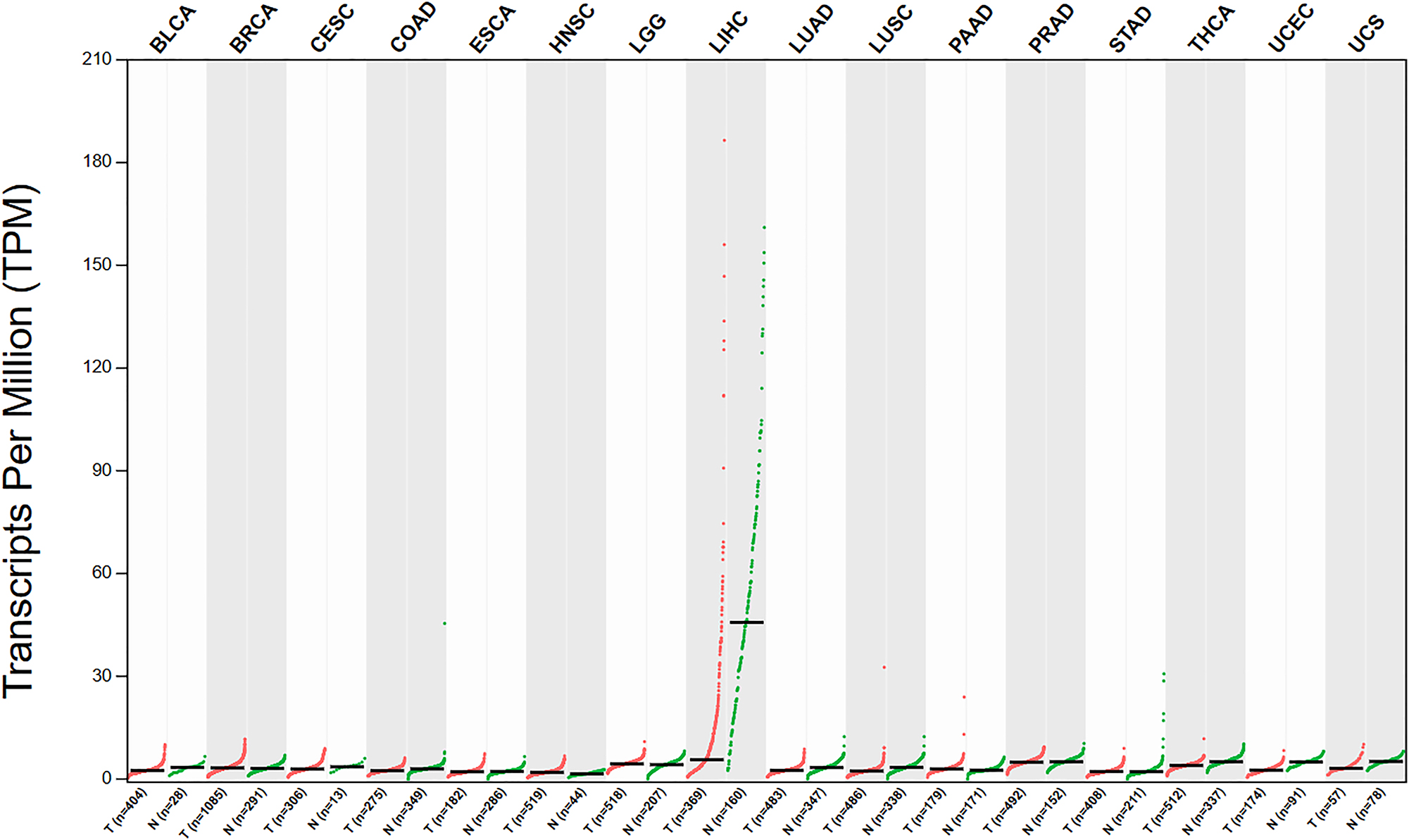Figure 1: 
The expression of JMJD5 in different types of cancer (http://gepia.cancer-pku.cn/). (BLCA: Bladder Urothelial Carcinoma, BRCA: Breast invasive carcinoma, CESC: Cervical squamous cell carcinoma and endocervical adenocarcinoma, COAD: Colon adenocarcinoma, ESCA: Esophageal carcinoma, HNSC: Head and Neck squamous cell carcinoma, LGG: Brain Lower Grade Glioma, LIHC: Liver hepatocellular carcinoma, LUAD: Lung adenocarcinoma, LUSC: Lung squamous cell carcinoma, PAAD: Pancreatic adenocarcinoma, PRAD: Prostate adenocarcinoma, STAD: Stomach adenocarcinoma, THCA: Thyroid carcinoma, UCEC: Uterine Corpus Endometrial Carcinoma, UCS: Uterine Carcinosarcoma; T: tumor, N: normal).
