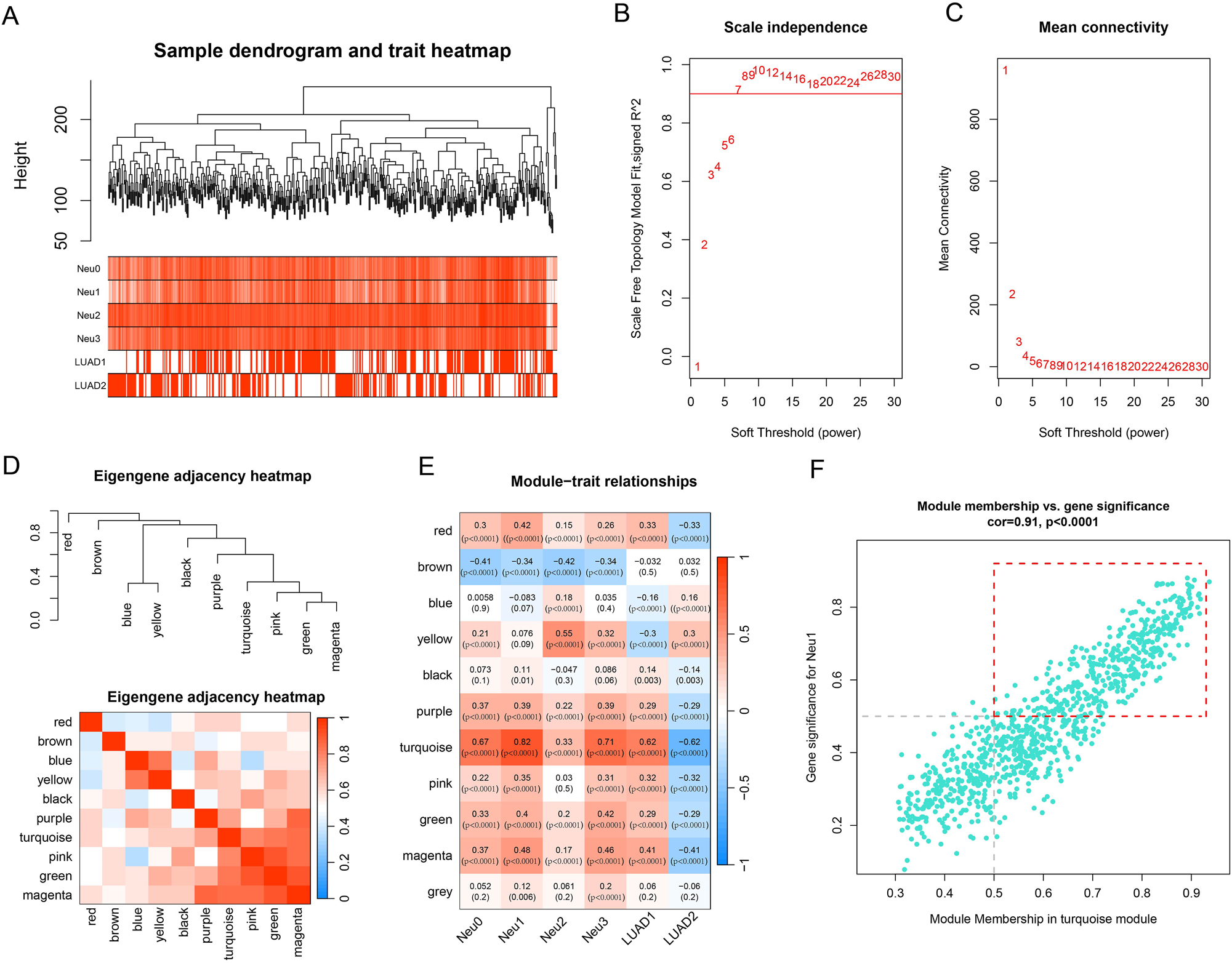 Figure 4: 
The results of WGCNA. (A) Sample hierarchical clustering plot. (B) The relationship between soft threshold and scale-free topology model fit signed R2. (C) The relationship between soft threshold and mean connectivity. (D) Module clustering plot and heatmap. (E) Heatmap of correlations between modules and traits. Numbers in parentheses represent p-values. (F) Correlation scatter plot between MM and GS. In the red-line box, are 381 hub genes.
