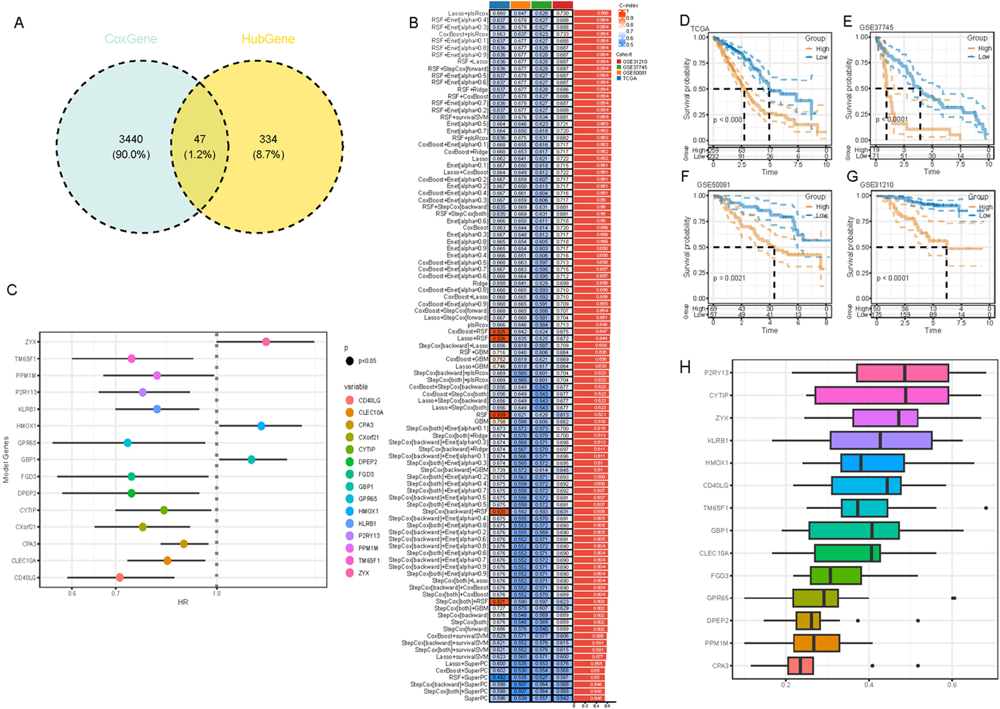 Figure 5: 
Identification and validation of key genes and biomarkers in LUAD. (A) Venn diagram intersection of Cox genes and hub genes. (B) Performance evaluation of 101 combined machine learning models on training and testing sets. (C) Forest plot of univariate Cox analysis for the 15 selected genes. (D–G) KM curve analysis comparing high- and low-risk groups across cohorts in (D) TCGA Cohort, (E) GSE37745 Cohort, (F) GSE50081 Cohort, (G) GSE31210 Cohort. (H) A bar chart displaying the percentage of functional representation for the 15 key genes across BP, CC, and MF terms in GO analysis.
