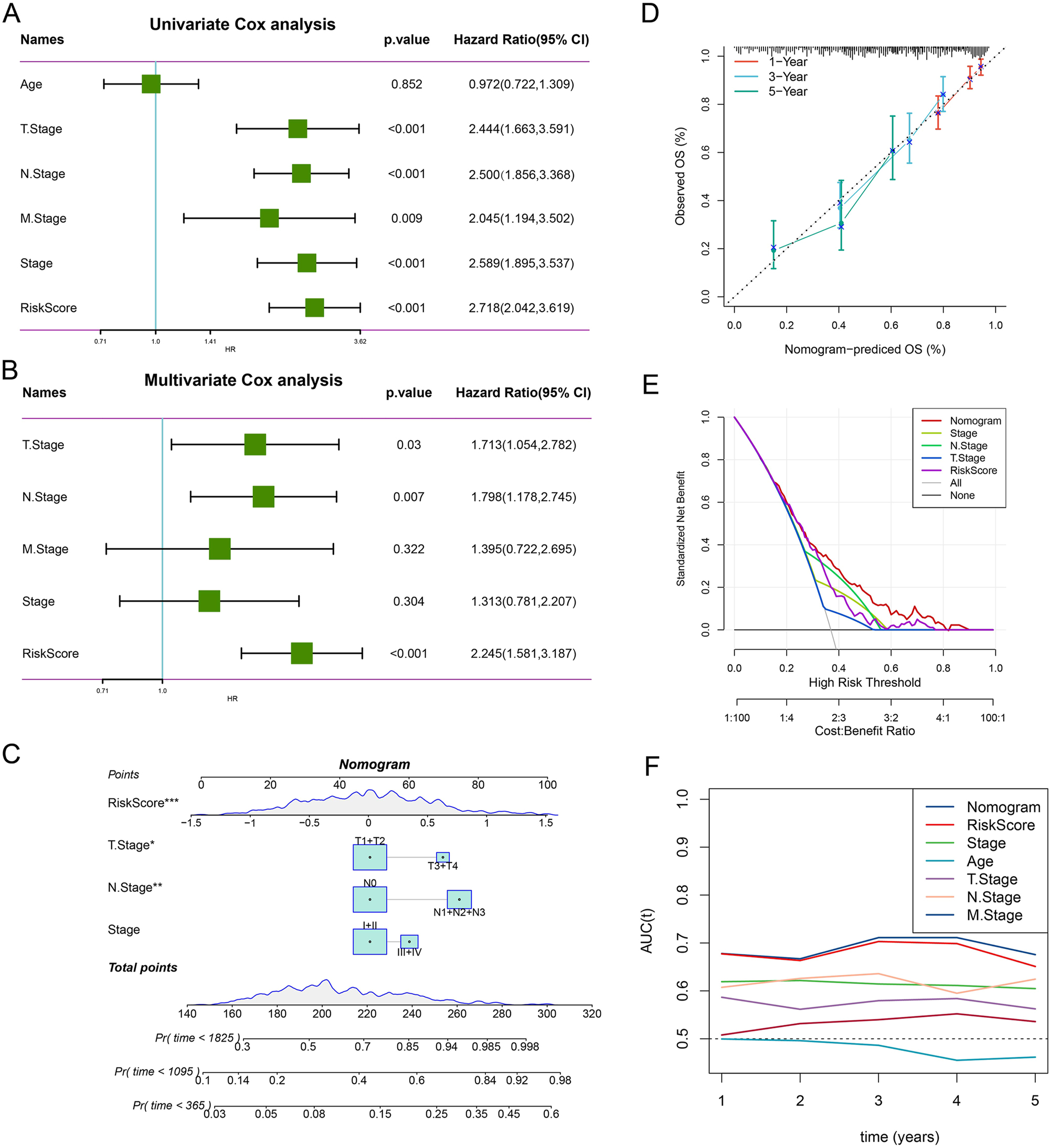 Figure 7: 
RiskScore and nomogram validation. (A) Univariate Cox analysis of RiskScore and clinical features. (B) Multivariate Cox analysis of RiskScore and clinical features. (C) Construction of the nomogram. (D) Calibration curves for 1-, 3-, and 5-year survival. (E) DCA of the nomogram. (F) The AUC predicted that the nomogram exhibited the most powerful capacity for survival prediction in comparison to other clinicopathological features. *p<0.05, **p<0.01, ***p<0.001.
