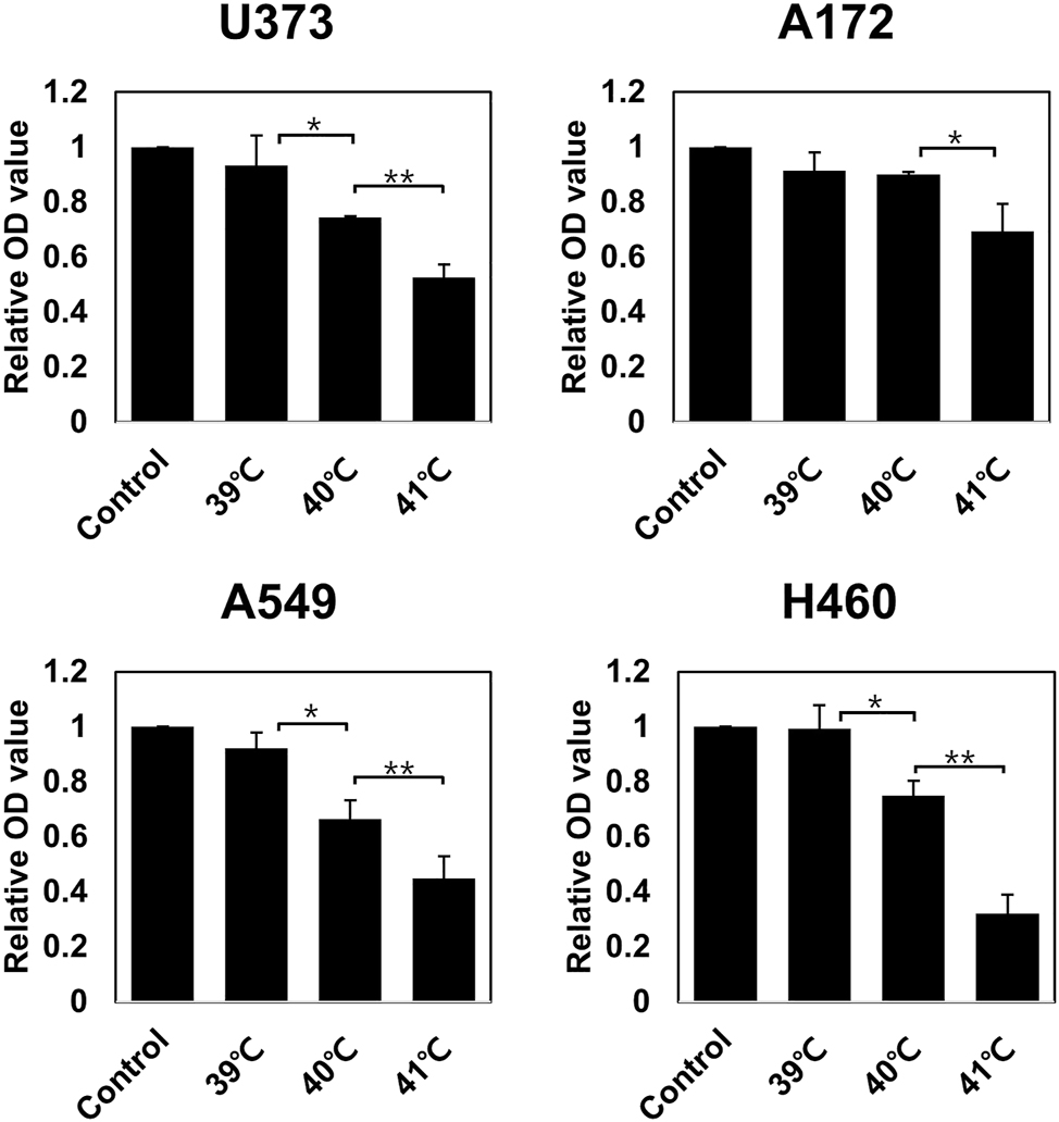 Figure 1: 
Viability of the glioblastoma cell lines U373 and A172 and the non-small cell lung cancer (NSCLC) cell lines A549 and H460 after 72 h of exposure to hyperthermia at 39–41 °C compared with control cells, as measured by MTT assays. The values represent the means ± SDs of three independent experiments. *p<0.05, **p<0.01.
