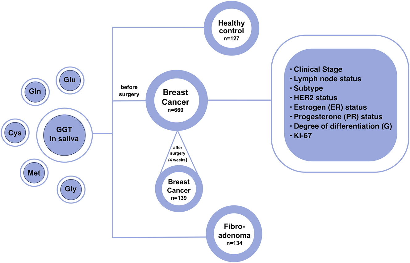 Figure 1: 
Research design.

