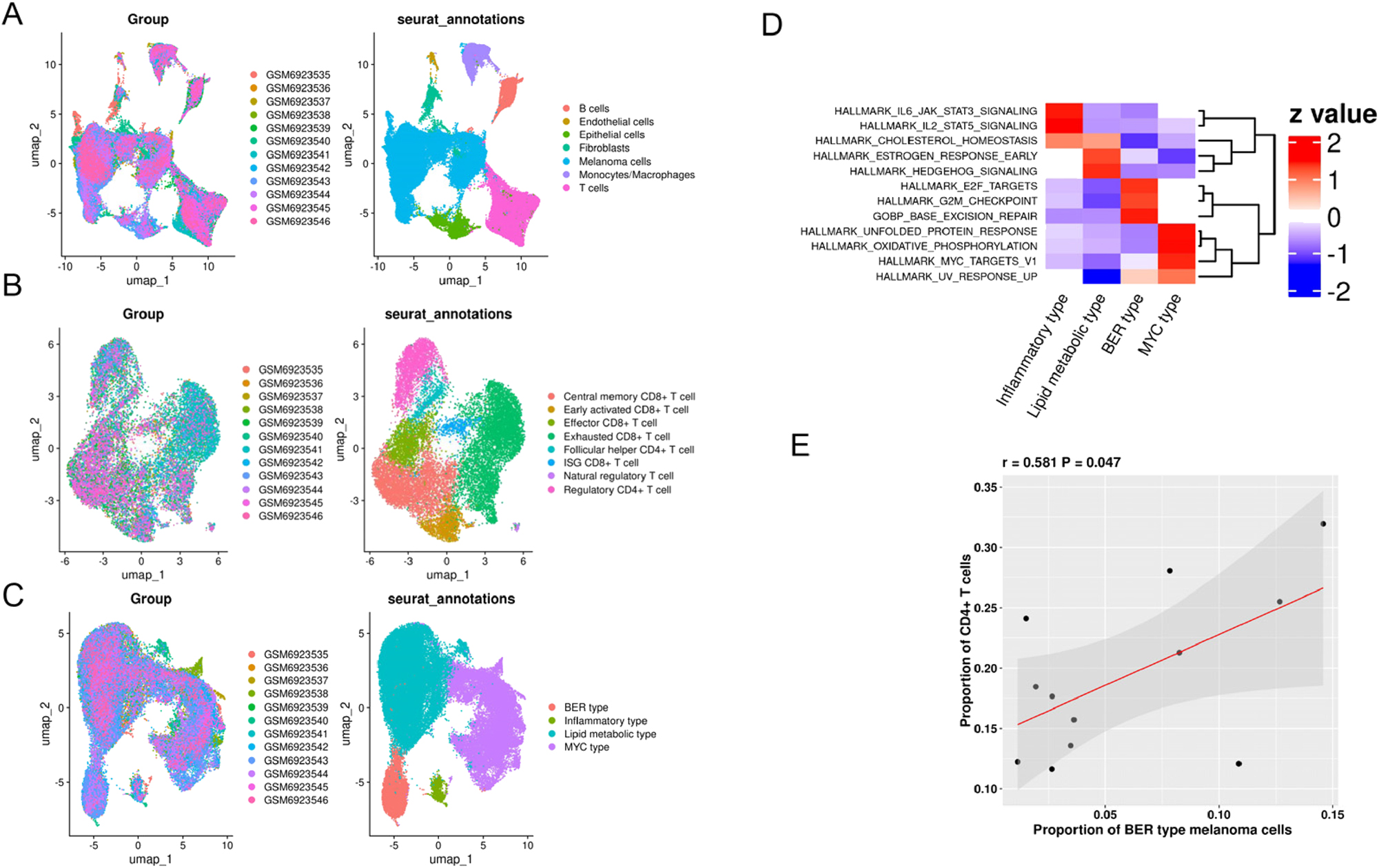 Figure 2: 
Identification of major cell types and subpopulations of melanoma cells and T cells in the GSE222446 dataset. (A) UMAP view of seven major cell types. (B) UMAP of eight T cell subsets. (C) UMAP of four melanoma subtypes. (D) heatmap representative of different biological characteristics of four melanoma subtypes. (E) scatter plot showing positive correlation of the proportion of CD4+T cells and BER type melanoma.
