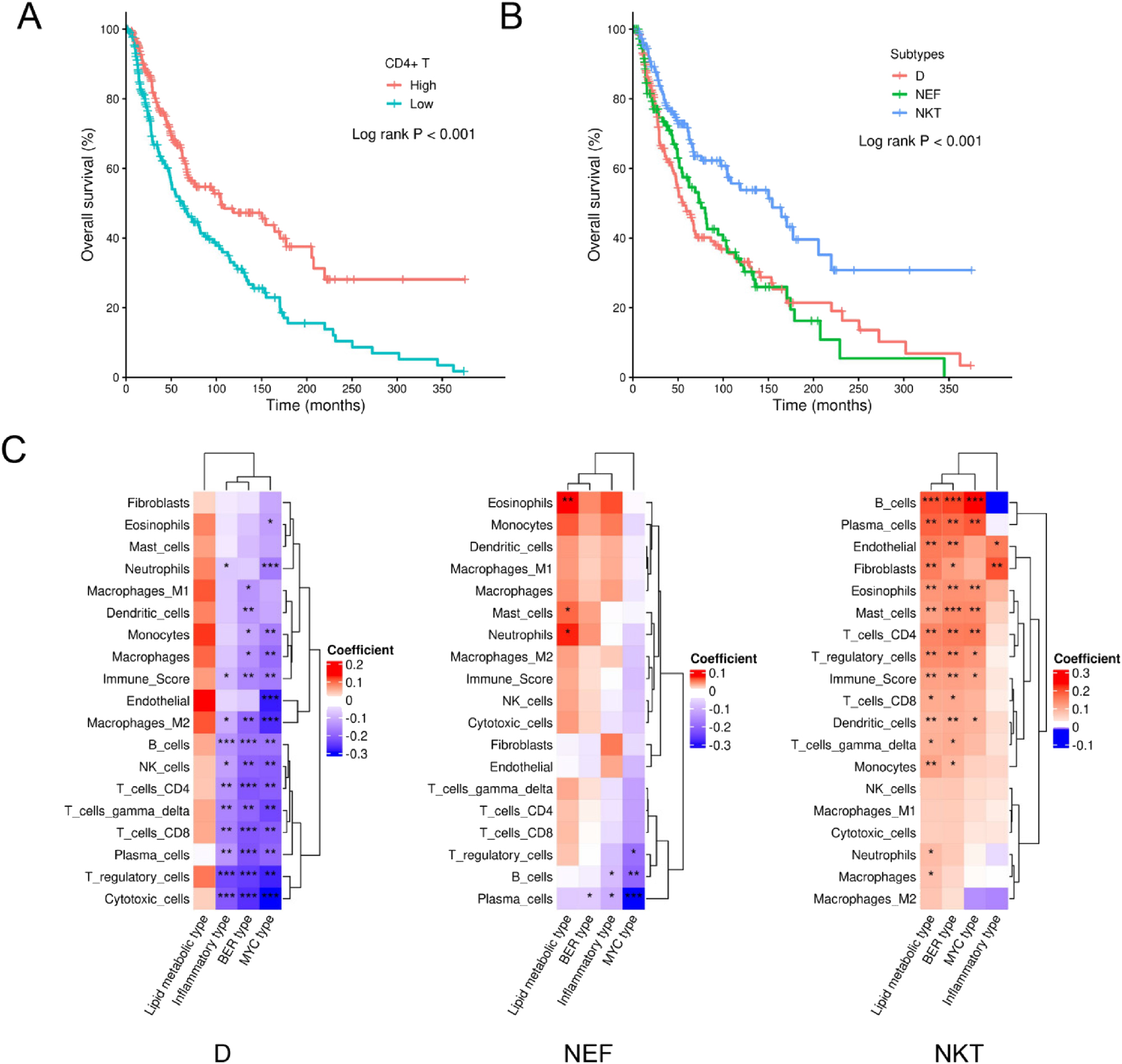 Figure 3: 
CD4+ T cells and immune subtypes in melanoma patients from the TCGA SKCM cohort. (A) Kaplan-Meier plot showing different OS between patients with high or low CD4+ T cell infiltration. (B) Kaplan-Meier plot showing different OS among patients with D, NEF, or NKT subtype. (C) heatmap showing the regression coefficients and their significance from multivariate linear regression in each immune subtype. The asterisk ★, ★★, ★★★ labeled in the squares indicate significance level of 0.05–0.01, 0.001–0.01, and less than 0.001, respectively. The groups of high or low CD4+ T cell infiltration were determined by the median value of the enrichment score of CD4+ T cells from consensus TME.
