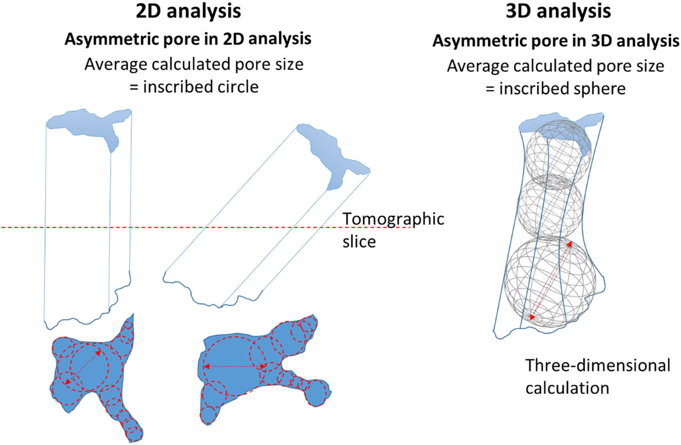 Figure 1 Calculated morphometric parameters of soil pore space.
