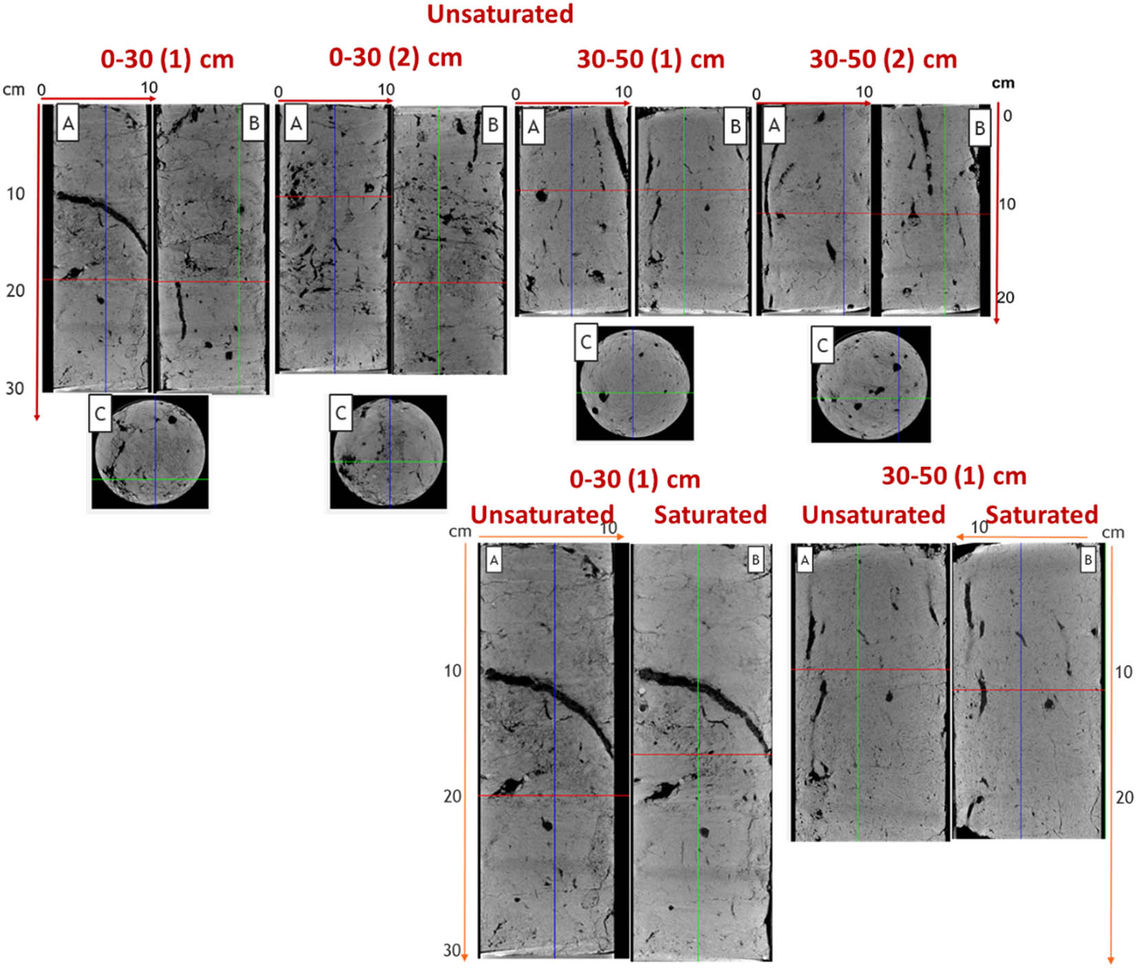 Figure 2 Two-dimensional scans of soil monoliths (projections: A – frontal, B – profile, C – horizontal).