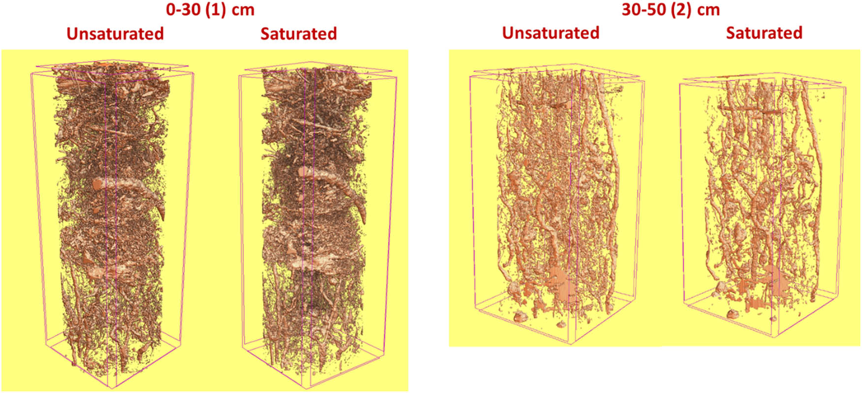 Figure 3 Three-dimensional pore space models before and after saturation.