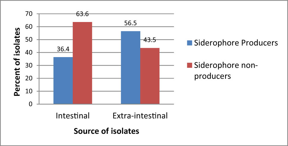 Figure 1
Percentage of siderophore producers (%) among pathogenic intestinal and extraintestinal E. coli isolates.