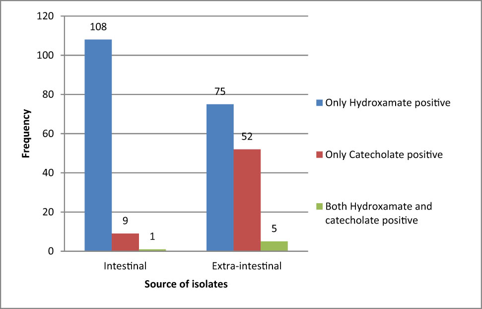 Figure 2
Frequency of siderophore types among pathogenic E. coli isolates.