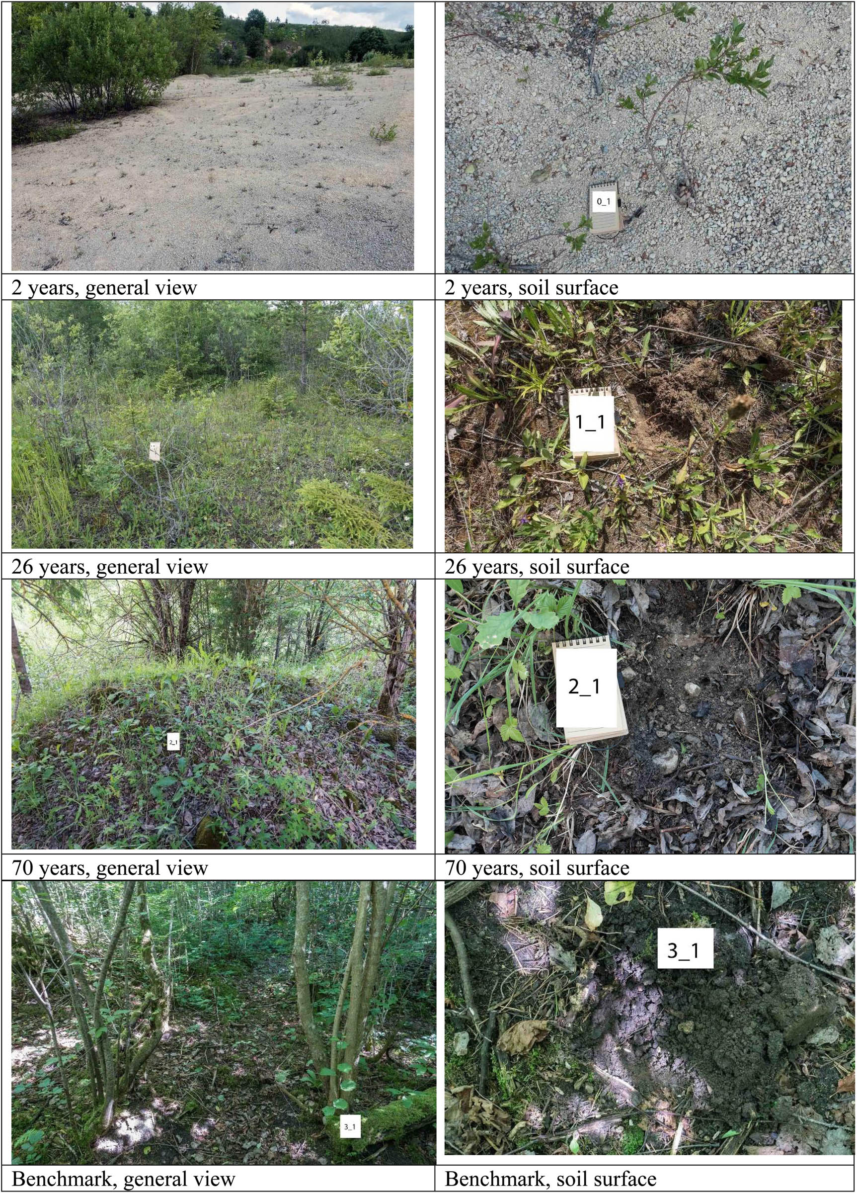 Figure 2
Soils of different stages of chronoseries.