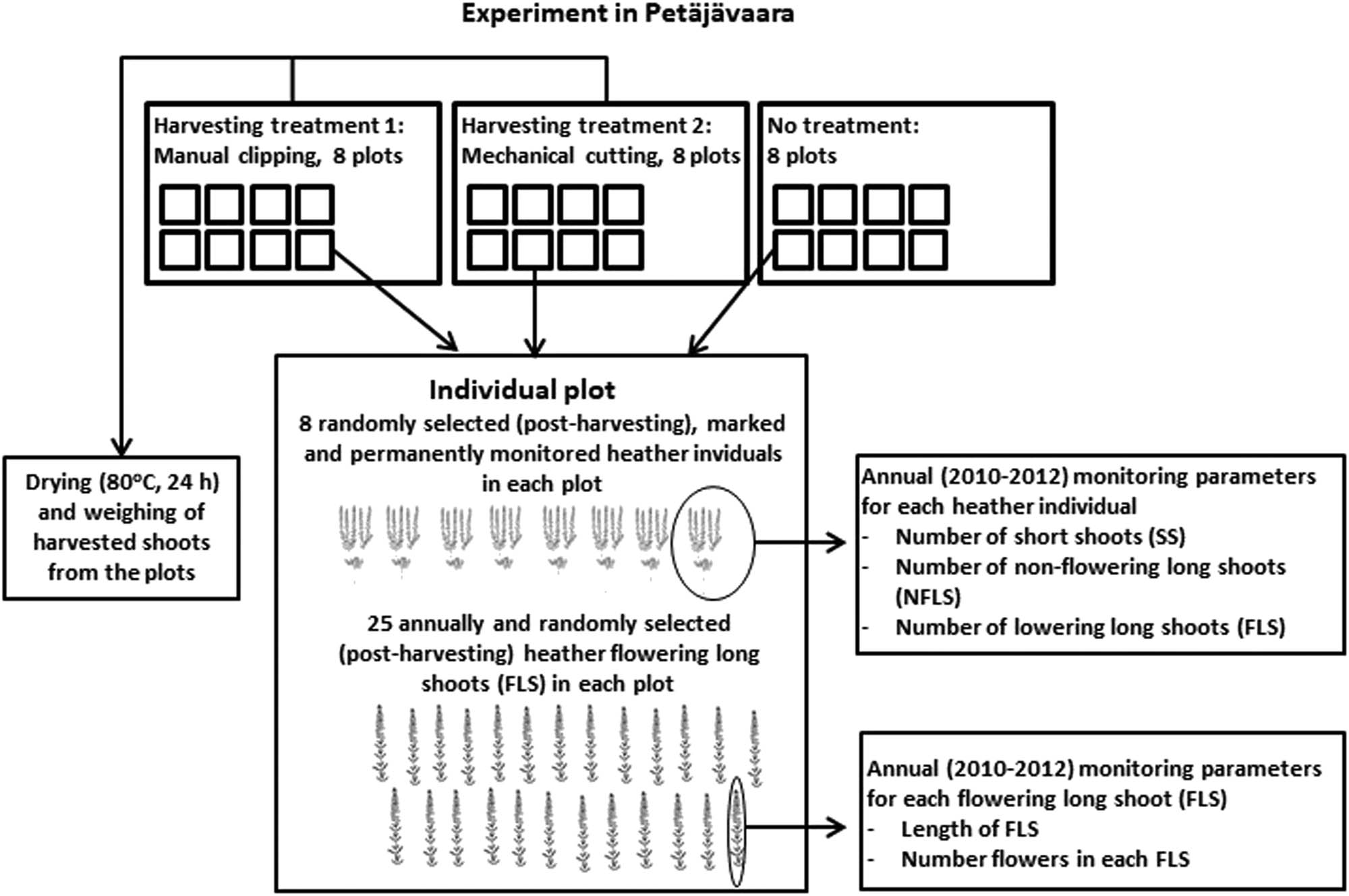Figure 2
The flowchart of the experiment setup in Petäjävaara.