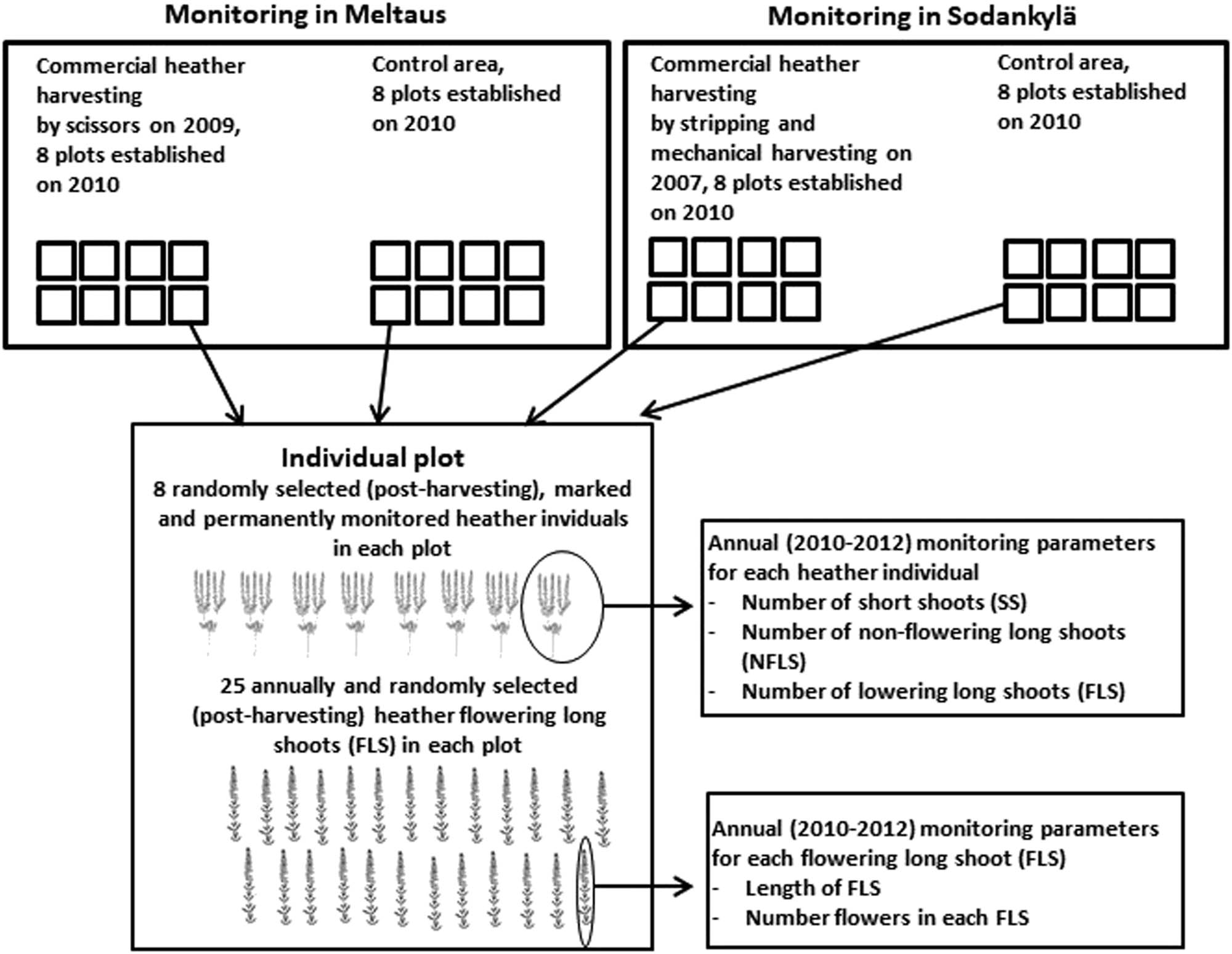 Figure 3
The flowchart of the monitoring procedure in Meltaus and Sodankylä.