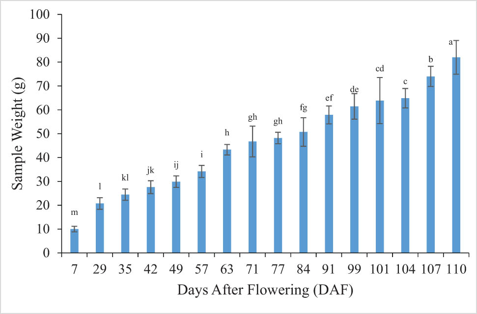 Figure 1
Changes of fruit weight during developmental continuum of banana fruits. *Bars (means values) that do not share the letter/s are significantly different according to the Fisher LSD.