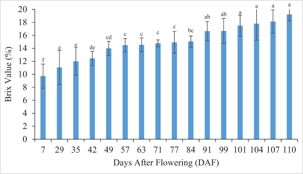 Figure 3
Changes of Total Soluble Solid content during developmental continuum of banana fruit. *Bars (means values) that do not share the letter/s are significantly different according to the Fisher LSD.