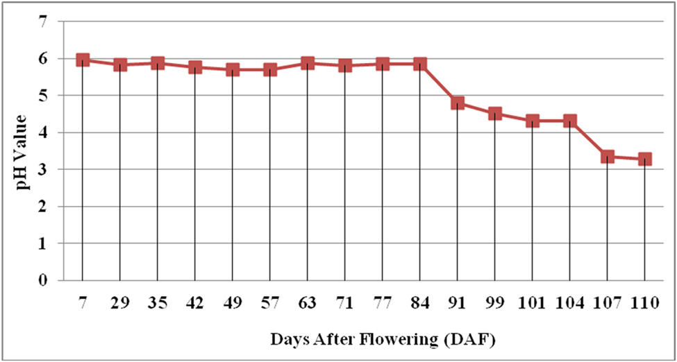 Figure 6
Changes of pH value of banana fruit pulp during developmental continuum.