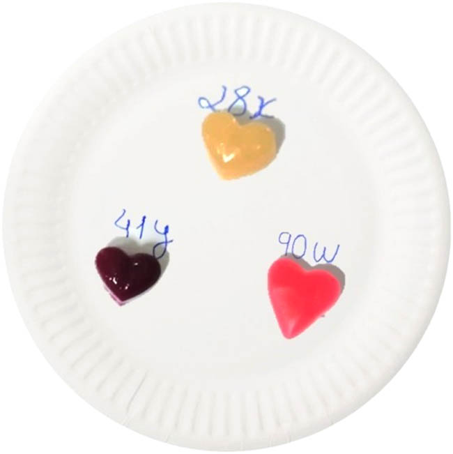 Figure 3
Samples for sensory evaluation (gummy jellies codes: 28x = orange and honey, 41y = berries mix, and 90w = commercial sample).