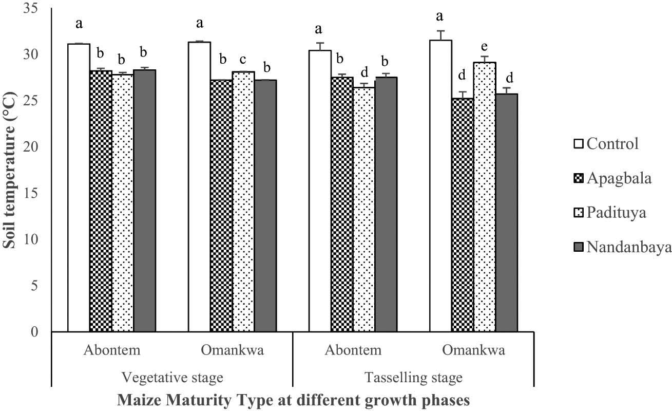 Figure 3 
                  The interaction effect of maize maturity type × cowpea living mulch type on soil temperature at vegetative and tasseling growth stage. Bars represent standard error of means and bars with different letters are significantly (p < 0.05) different.
               