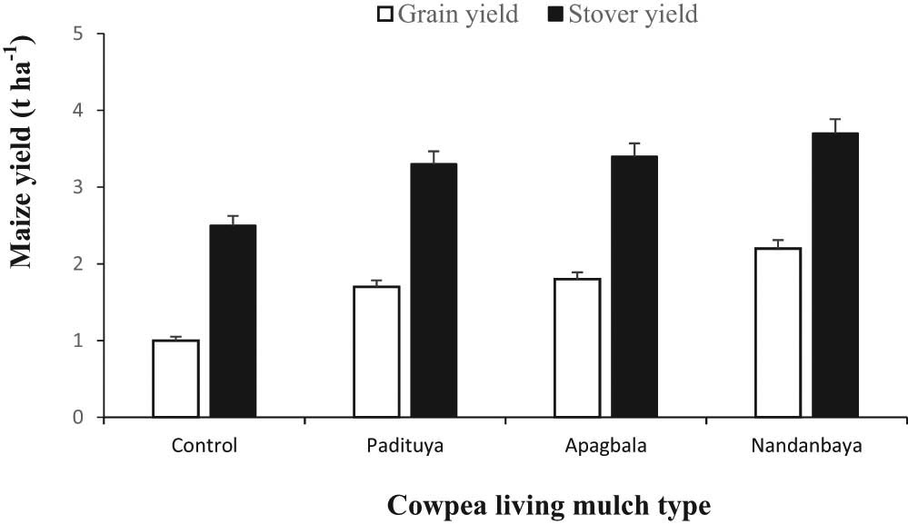 Figure 4 
                  The effect of cowpea living mulch types on maize grain and stover yield (average of the two maize varieties and the cropping season). Bars represent standard error of means.
               