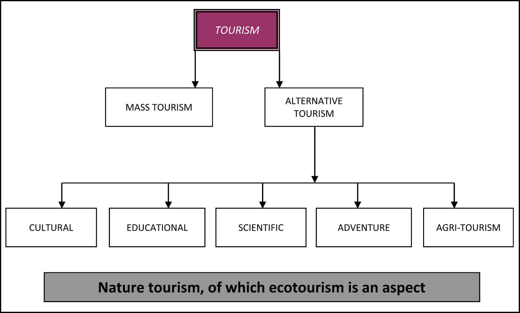 Figure 1 
                  Alternative tourism [26].
               