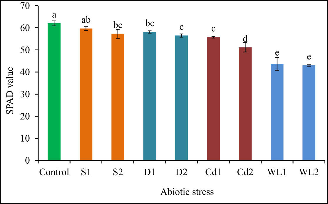 Figure 2 
                  SPAD value of C. olitorius plants affected by different abiotic stresses. S1, S2, D1, D2, Cd1, Cd2, WL1, and WL2 represent 200 mM of NaCl, 400 mM of NaCl, 10 days of water deficit, 15 days of water deficit, 2 mM of CdCl2, 4 mM of CdCl2, 5 days of waterlogging, and 15 days of waterlogging, respectively. Mean value (±SD) was calculated from three replicates for each treatment. Values in a column with different letters are significantly different at p ≤ 0.05 applying LSD test.
               