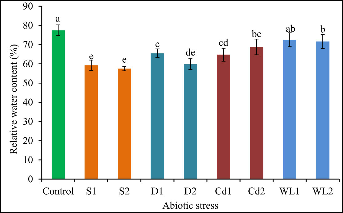 Figure 3 
                  RWC of C. olitorius plants affected by different abiotic stresses. S1, S2, D1, D2, Cd1, Cd2, WL1, and WL2 represent 200 mM of NaCl, 400 mM of NaCl, 10 days of water deficit, 15 days of water deficit, 2 mM of CdCl2, 4 mM of CdCl2, 5 days of waterlogging, and 15 days of waterlogging, respectively. Mean value (±SD) was calculated from three replicates for each treatment. Values in a column with different letters are significantly different at p ≤ 0.05 applying LSD test.
               